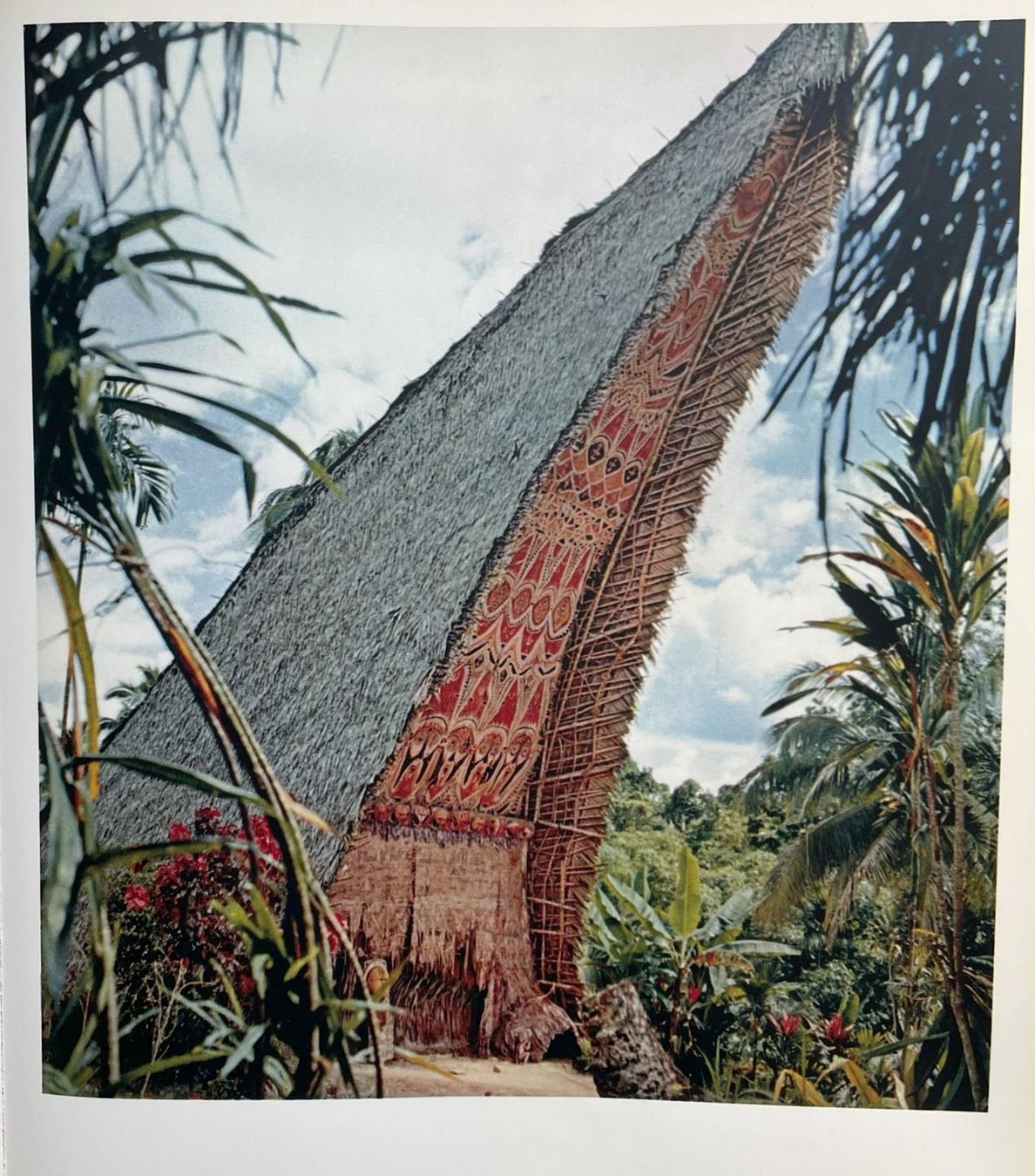 Libri: René Gardi: Bilder aus Neuguinea – Usato da Dielsdorf venduto da bonambler 8