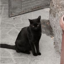 Profile image of T.Frei
