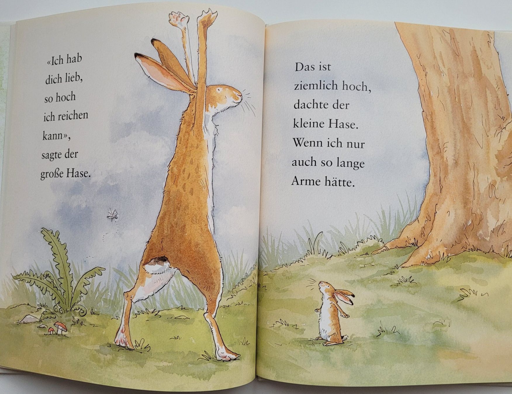 Libri: Weisst du eigentlich, wie lieb ich dich hab? – Usato da Würenlos venduto da Felisha 4