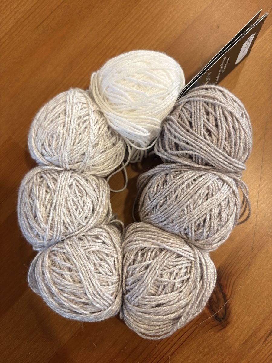 Lana: Schoppel Zauberperlen Cotton 2x col. 2489 – Nuovo e nell'imballaggio originale da Bex venduto da eli_2kgy 1