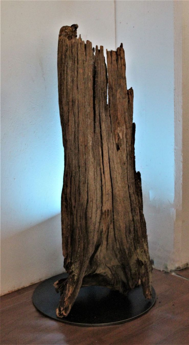 Lampade: Baumwurzel-Lampe. DEKO. – Usato da Trun venduto da artantic 2