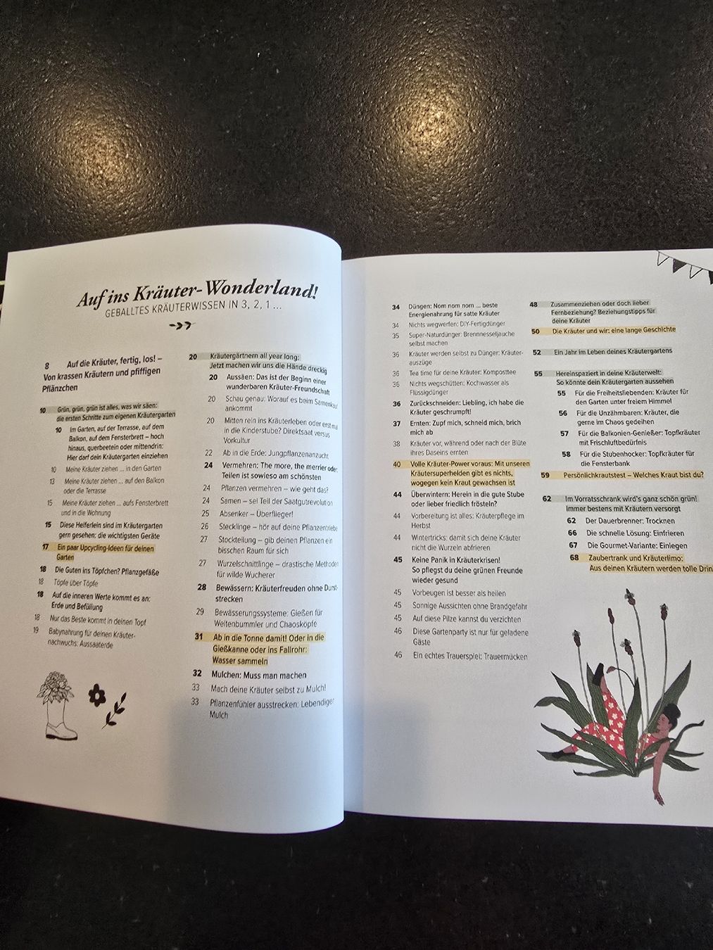 Livres: "Deine fabelhaften Kräuter" - Daniela Breithuber – Neuf (Voir description) à St. Gallen par charly92 3