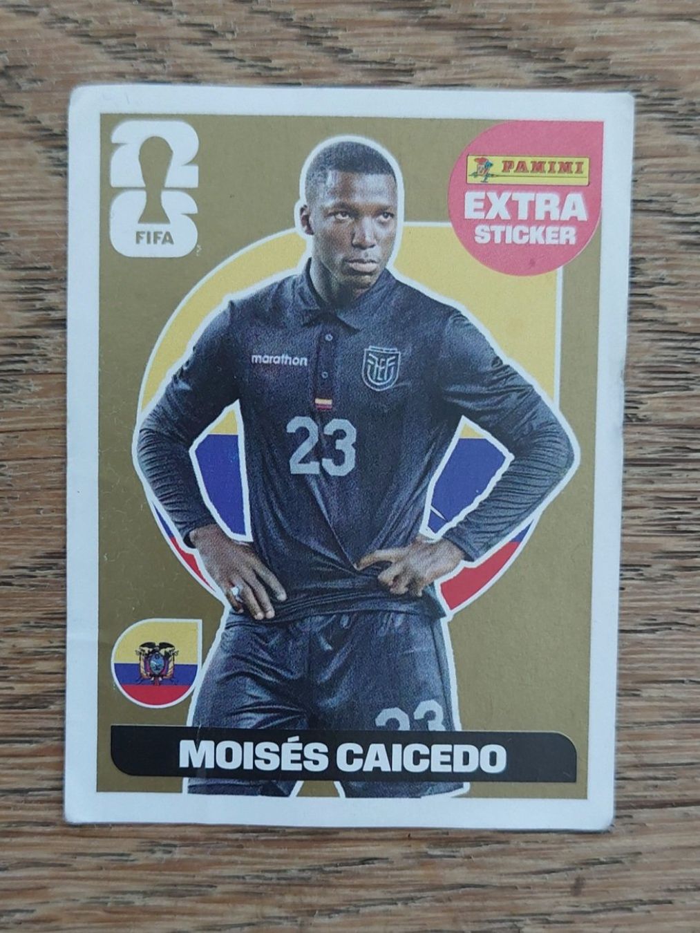 Panini Sammelbilder & Trading cards: Moisés Caicedo Extra Sticker Gold – Gebraucht aus Wiesendangen von daniela_80