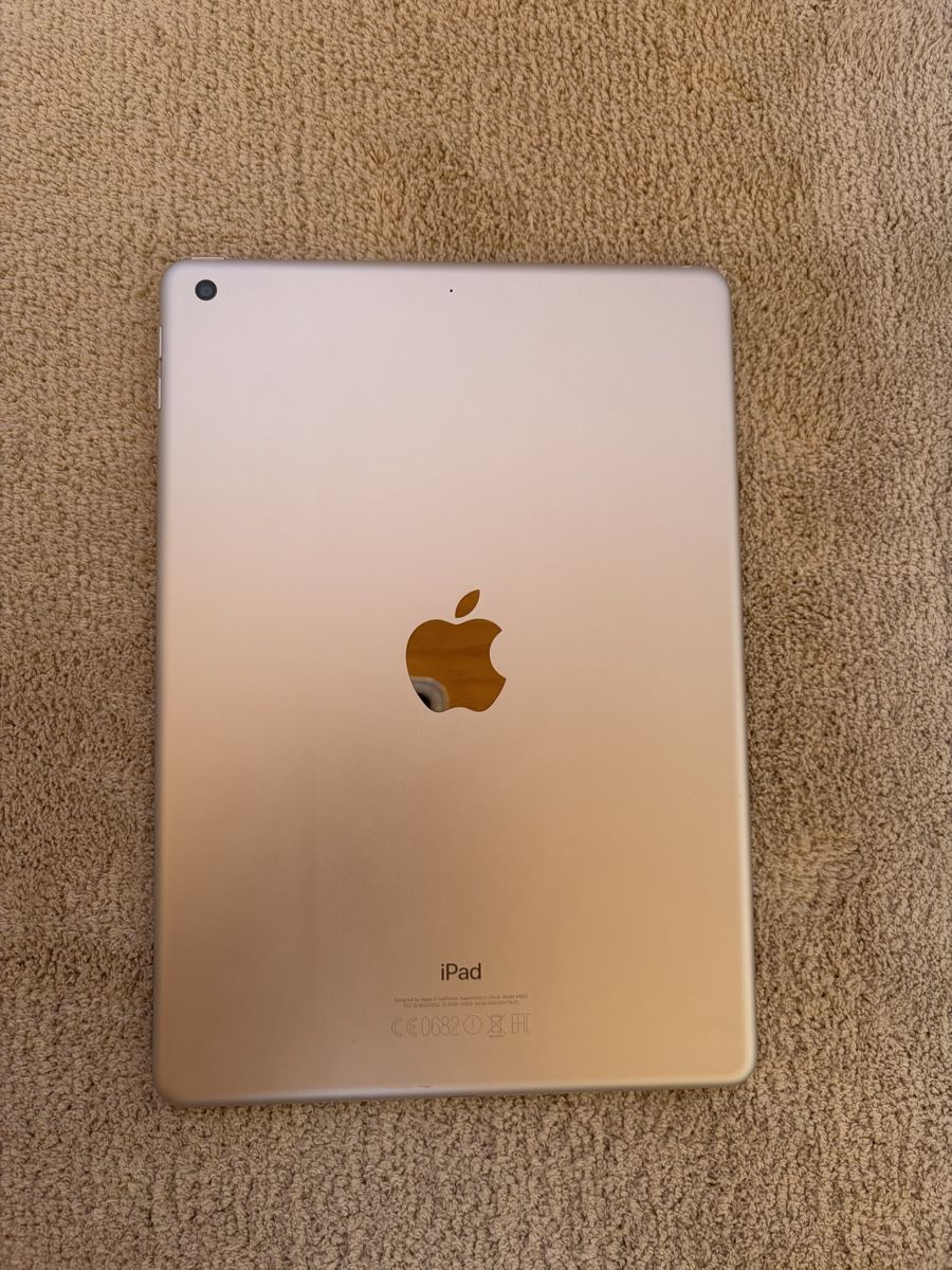 Apple Tablet PC: Apple Ipad 5.Generation Wi-Fi in Silber 32GB – Usato da Visperterminen venduto da lgresell 2
