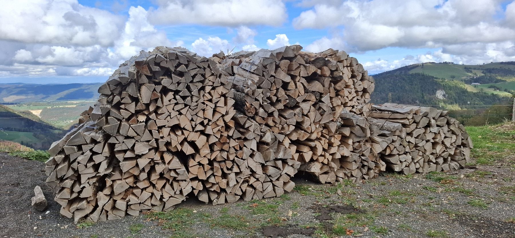 Holzartikel: Brennholz – Neu und originalverpackt aus Gänsbrunnen von Smoto