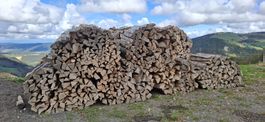Brennholz