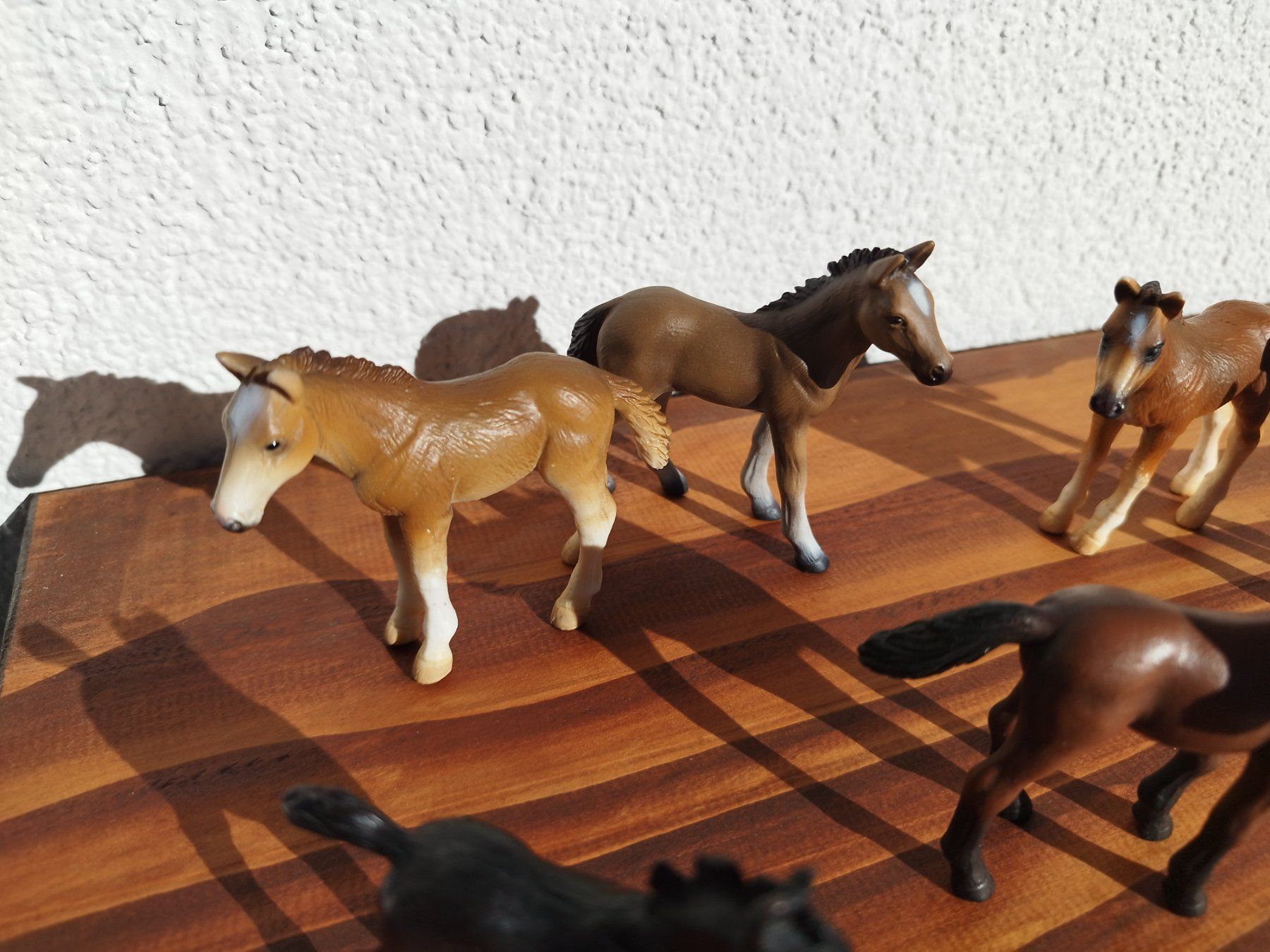 Schleich Giocattoli: Schleich Fohlen – Usato da Krauchthal venduto da AnnalenaS01 2