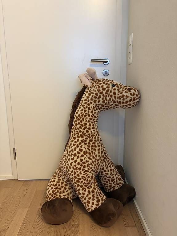 Manor Jouets: Giraffen Plüschtier Manor – Neuf (Voir description) à Rufi par Selina1534 1