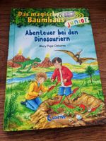 Das magische Baumhaus Junior Abenteuer bei Dinosauriern