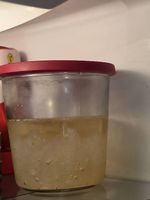 Wasserkefir kristalle