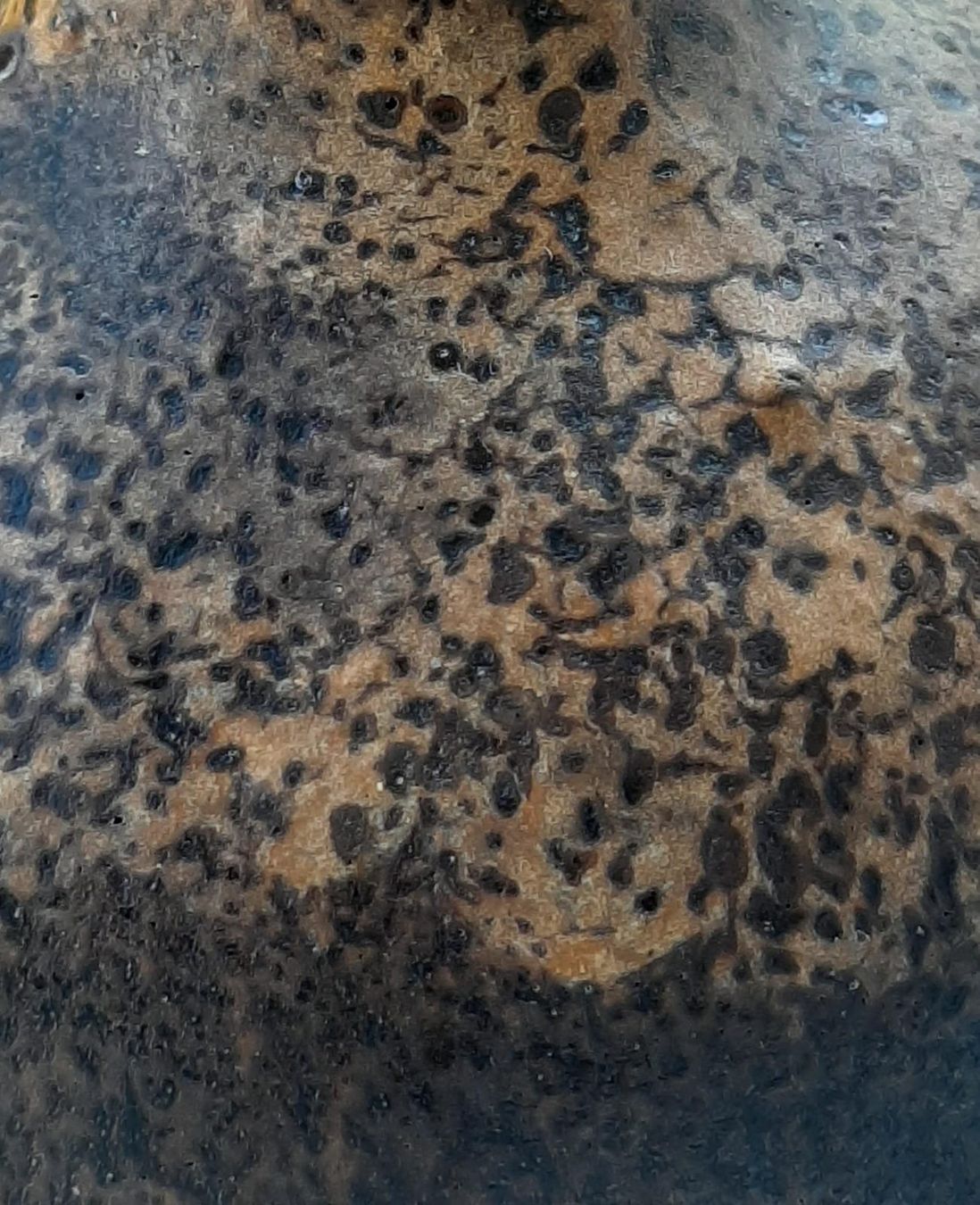 Vasi & Recipienti: Blumenvase – Usato da Sissach venduto da ruminative 1