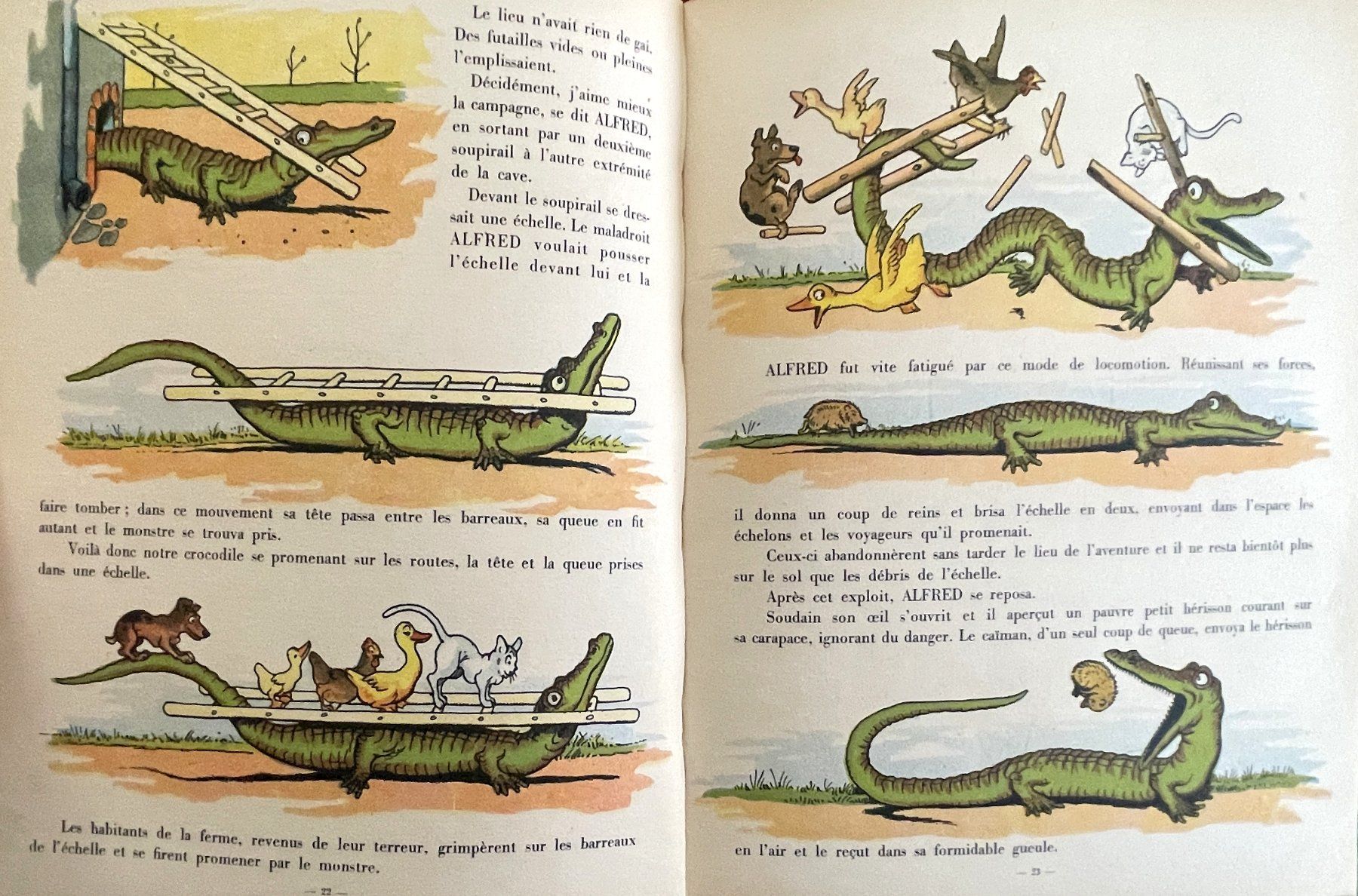 Bücher: Gédéon Alfredo et Roudoudou 1950 - Benjamin Rabier – Gebraucht aus Savagnier von Ne2065 4