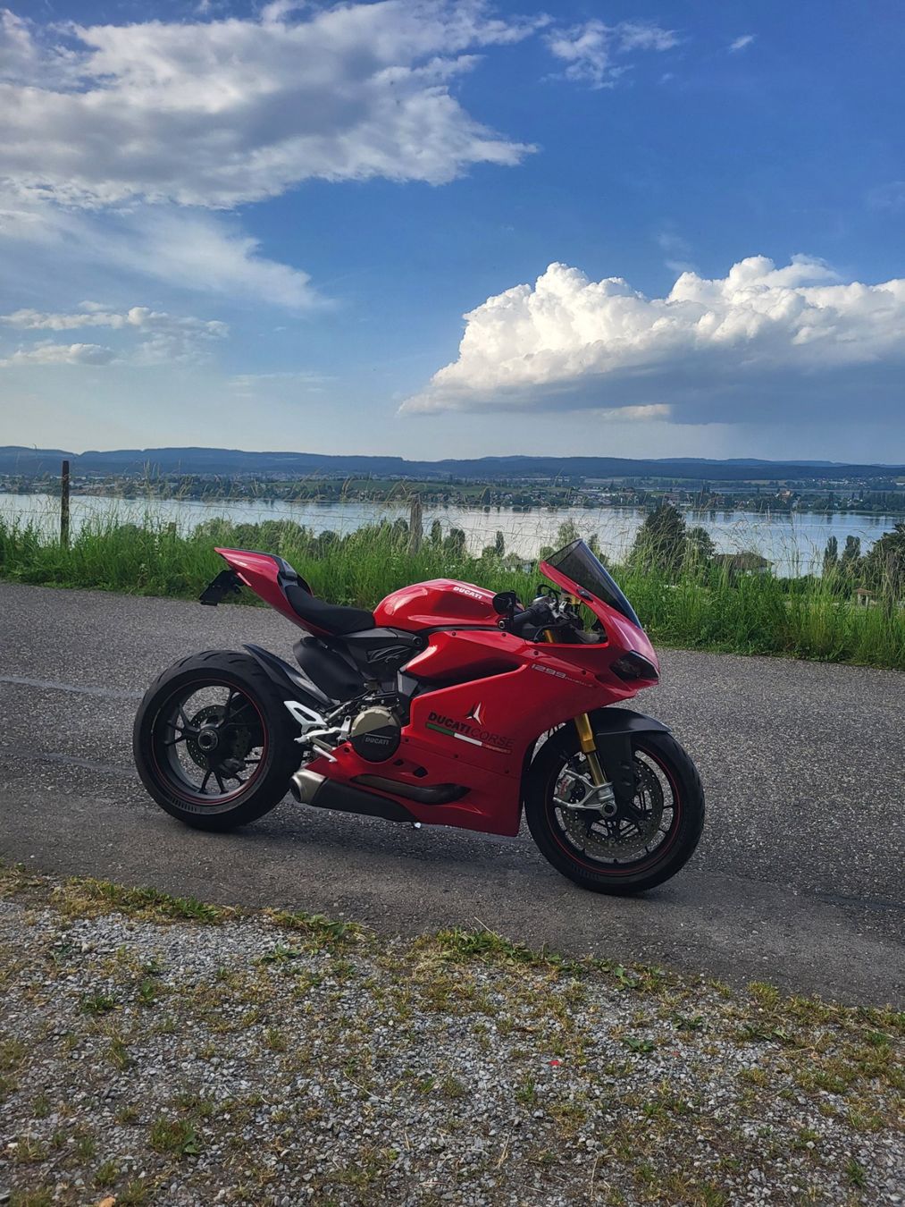 Strada: Ducati 1299 s Panigale – Usato da Fruthwilen venduto da Mostro-Medusa