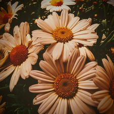 Profile image of Nad_vintage