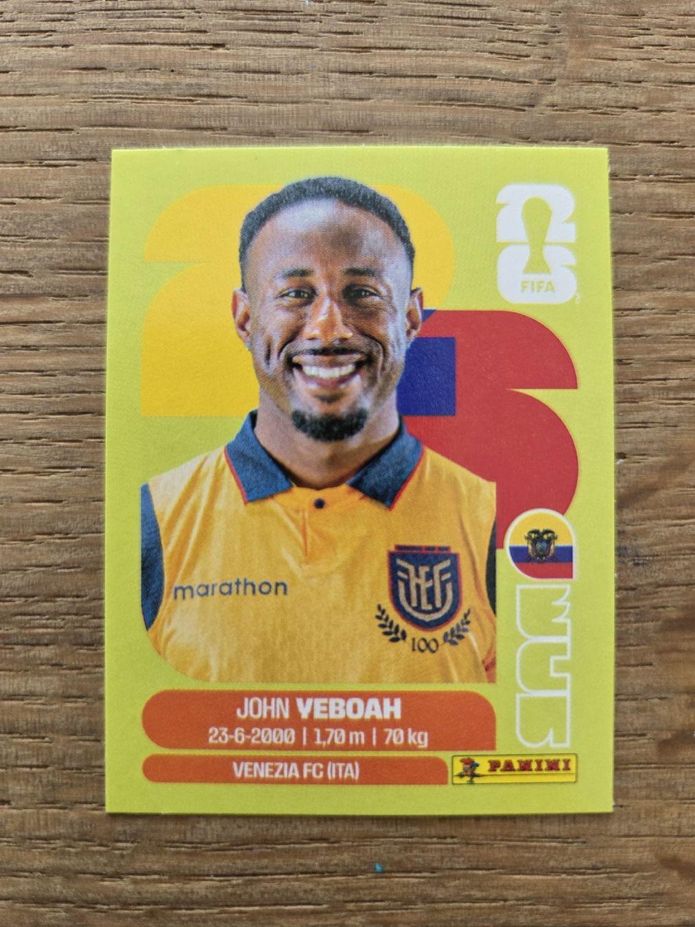 Panini Carte collezionabili: Panini Sticker 2026 ECU 14 – Nuovo (secondo la descrizione) da Luzern venduto da .Skylake.