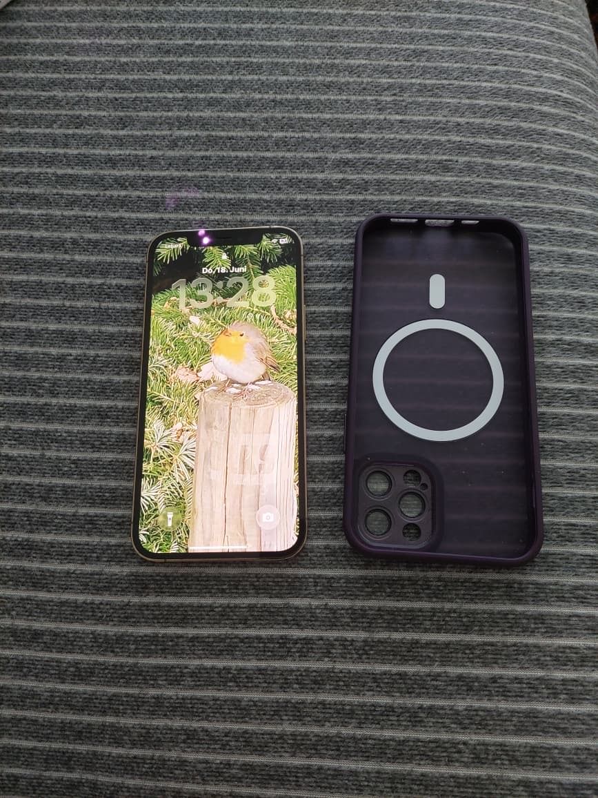 Apple Telefoni cellulari / Smartphones: Apple iPhone 12 Pro 256GB – Usato da Luzern venduto da M.Ai
