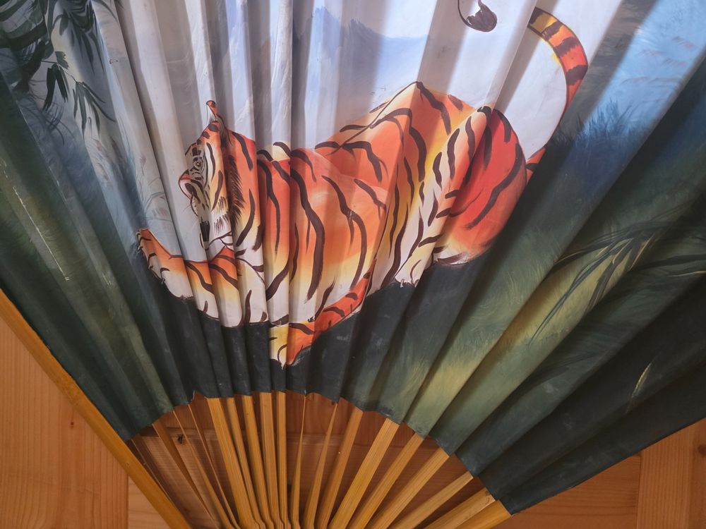 Tutte le decorazioni: Tiger Fächer – Usato da triesenberg venduto da wisi369 3