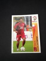 Panini UEFA EM 2008 Sticker - Nr. 493