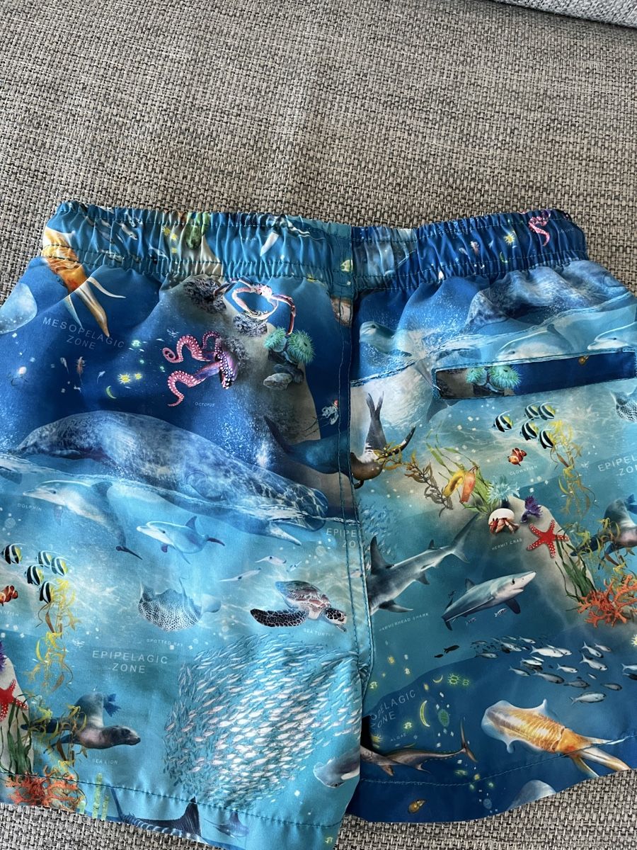Molo Costumi da bagno: ***MOLO*** Badehose Gr. 122/128 – Nuovo (secondo la descrizione) da Volketswil venduto da Kephren 4