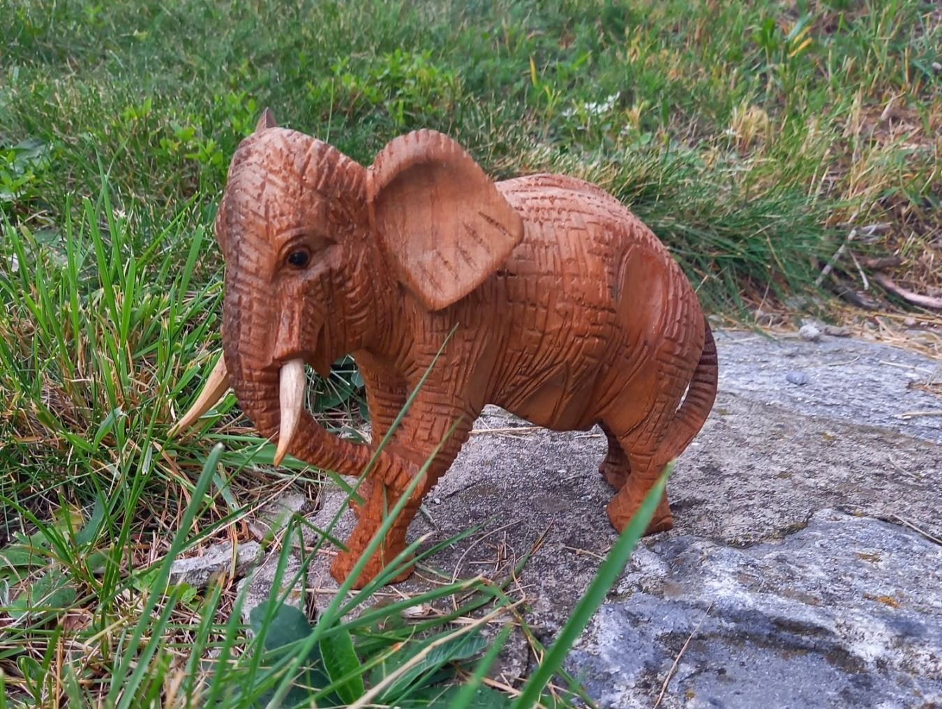 Xilografie: kleiner Elefant aus Holz – Nuovo e nell'imballaggio originale da Domat-ems venduto da Gr8wood 1