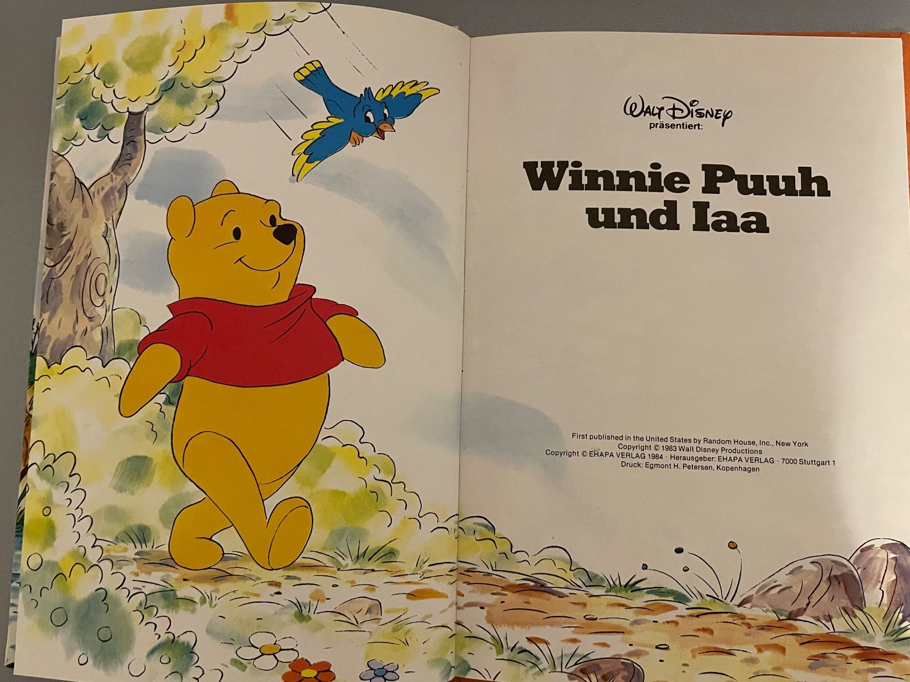 Libri: Disney bücher – Usato da Chur venduto da Tsambiko 9