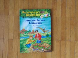 Das magische Baumhaus Junior Abenteuer bei den Dinosauriern