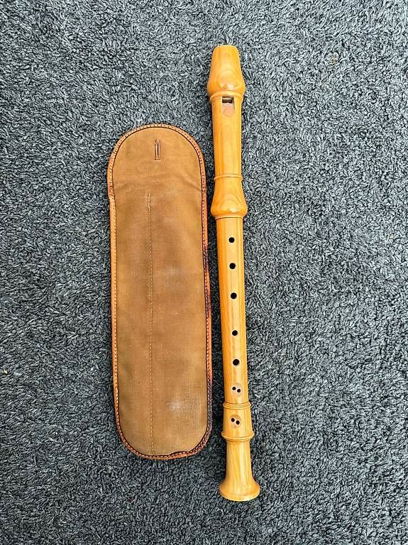 Strumenti musicali: Holzblasinstrument Blockflöte mit Etui, gebraucht – Usato da Muri AG venduto da cag733 3