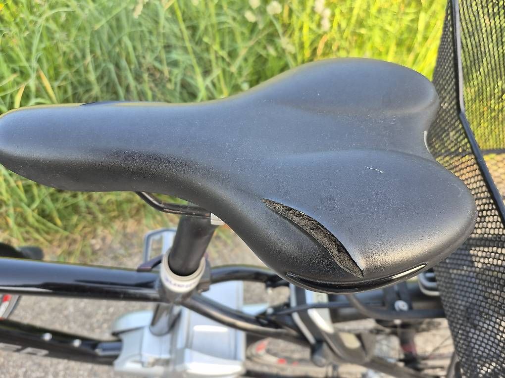 Biciclette: Flyer S Pedelec 45er – Usato da Duggingen venduto da melruns 2