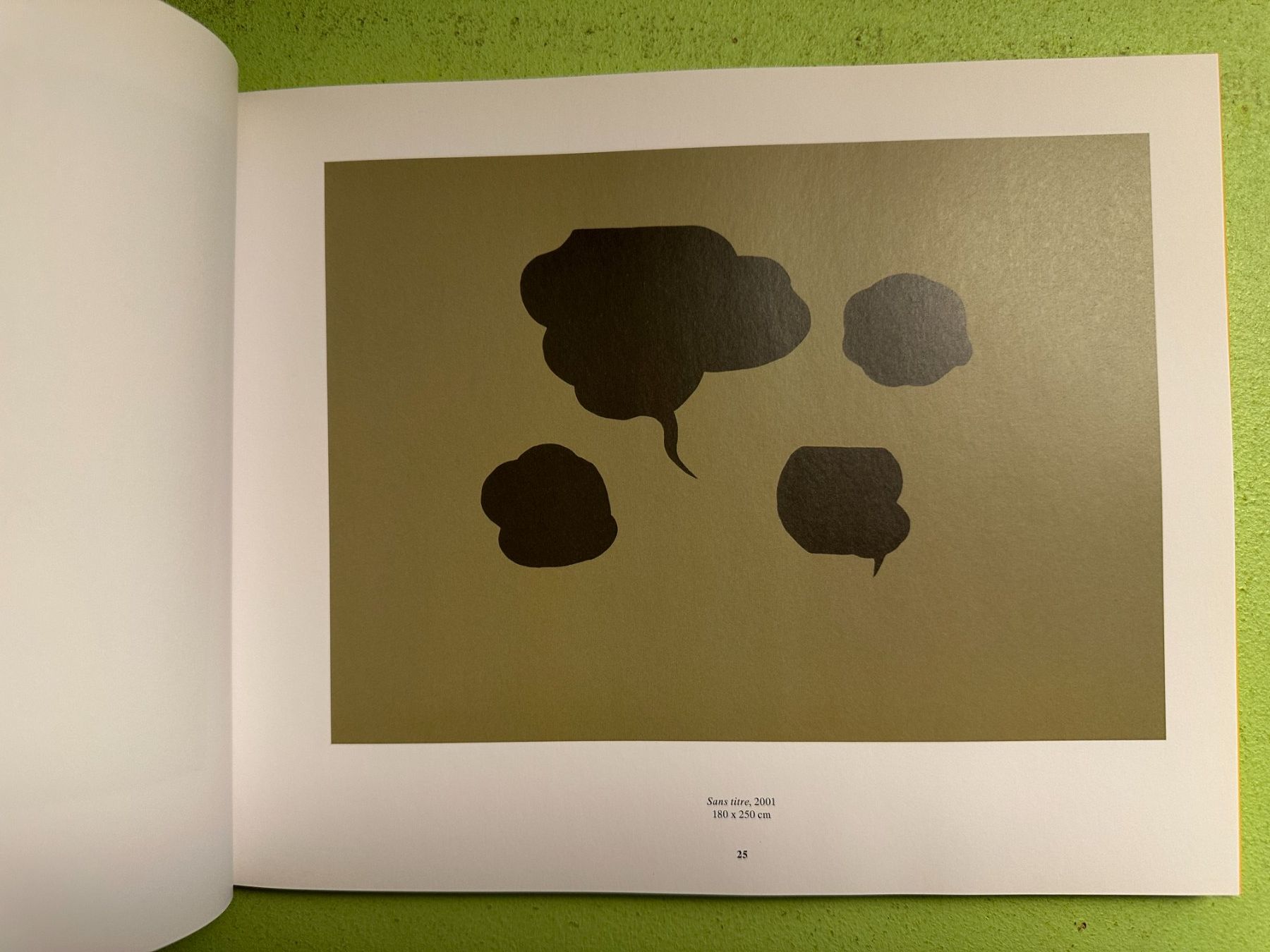 Libri: Sylvie Fanchon. Texte: Vincent Pécoil. – Usato da Zürich venduto da allp 4
