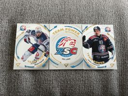 Sportzoo Team power ZSC Lions