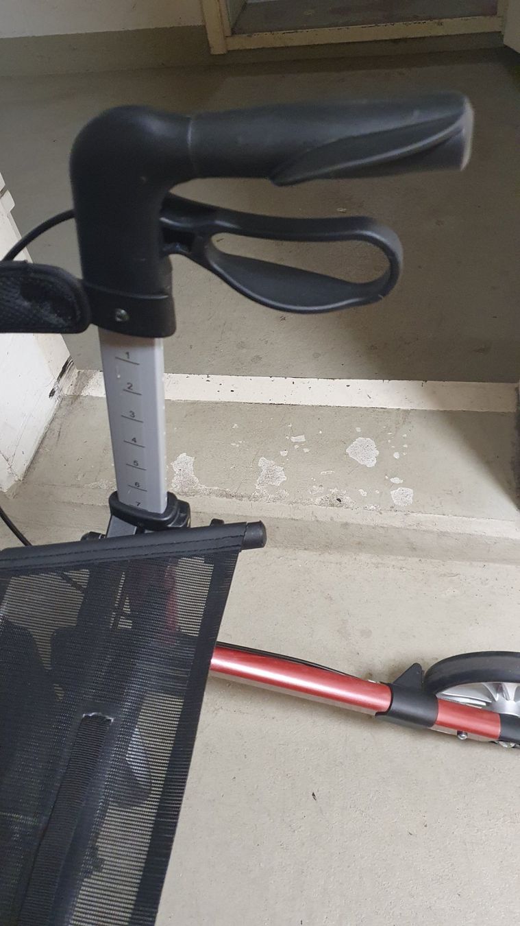 Gehhilfen: Birkenrot Rollator - sehr guter Zustand – Gebraucht aus Nänikon von Helvetia69 4