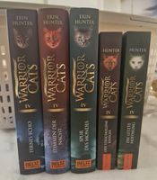 Warrior Cats Staffel 4