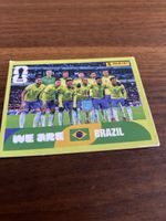Panini BRA 13