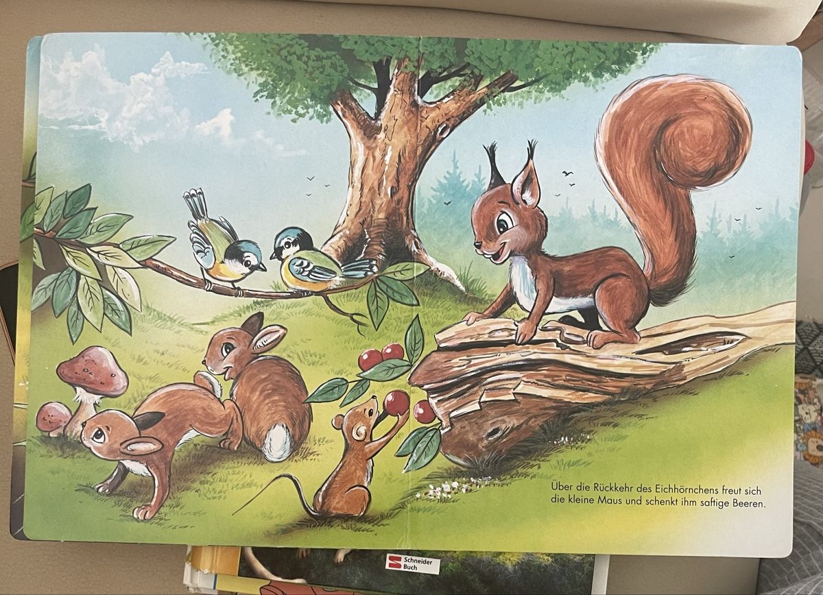 Livres: Das flinke Eichhörnchen Kinderbuch Schneider Buch – D'occasion à Birr par Elines 4