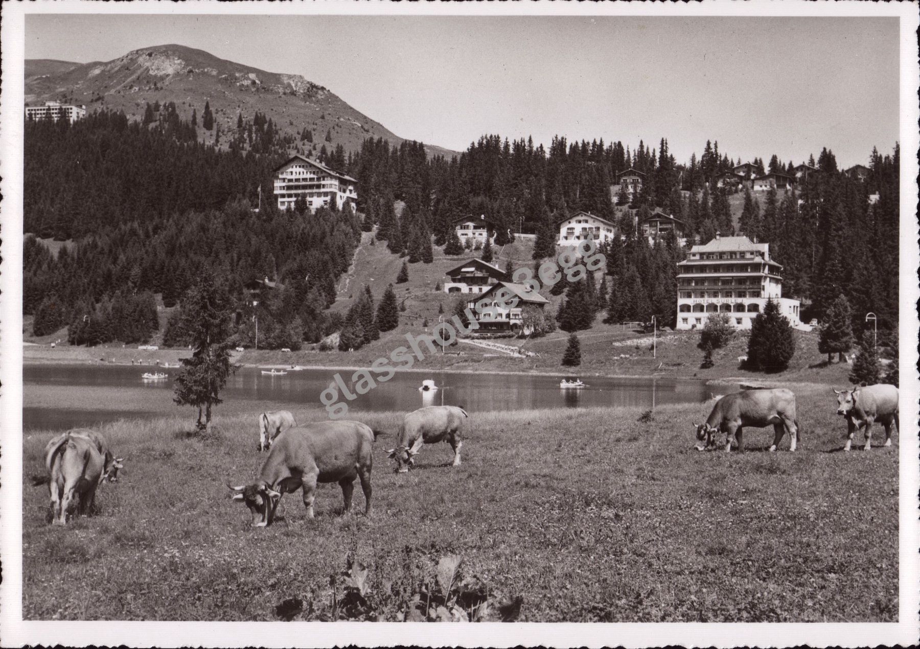 Cartoline postali: AK Arosa am Obersee – Usato da Eggersriet venduto da glasshouse3egg