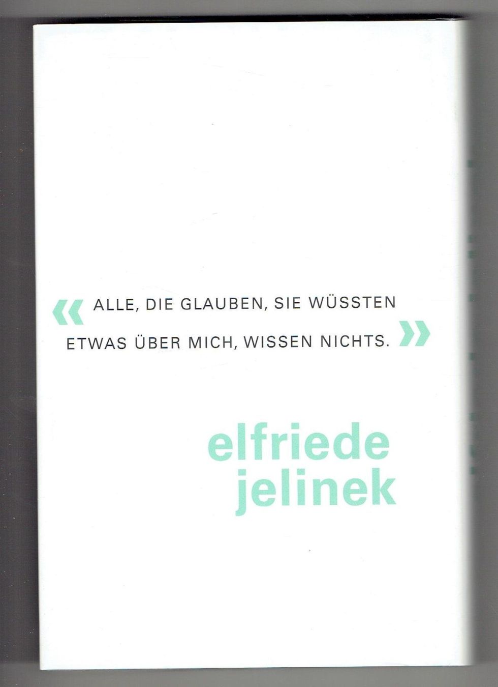 Libri: Elfriede Jelinek – Nuovo (secondo la descrizione) da Flims - Dorf venduto da Stagediver 1