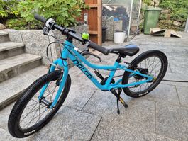 Naloo Chameleon 20 zoll