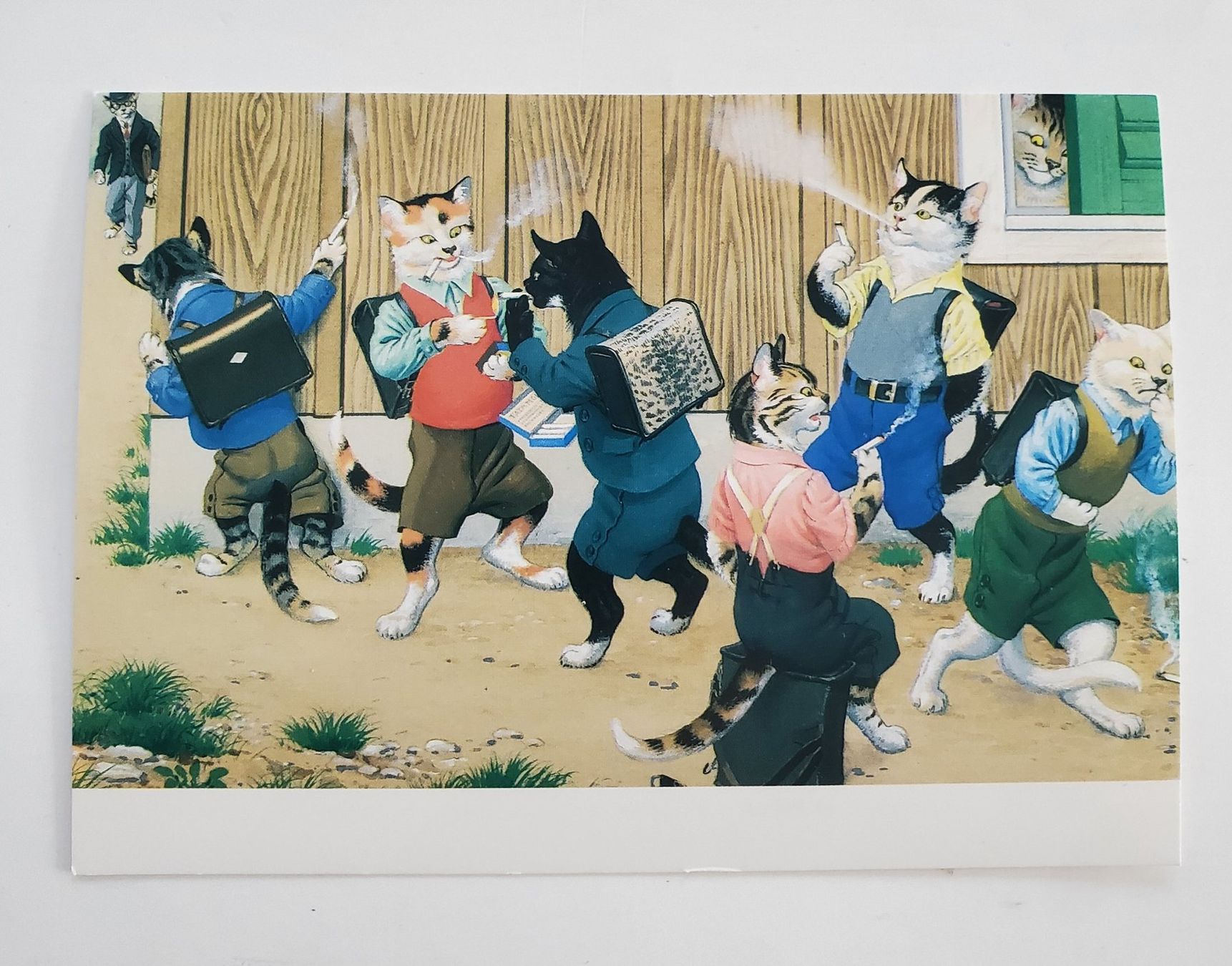 Cartes postales: AK Katzen Katzenkarte Nr. 112 – D'occasion à Opfikon par Diversamente