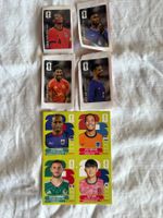 8 Panini Bilder