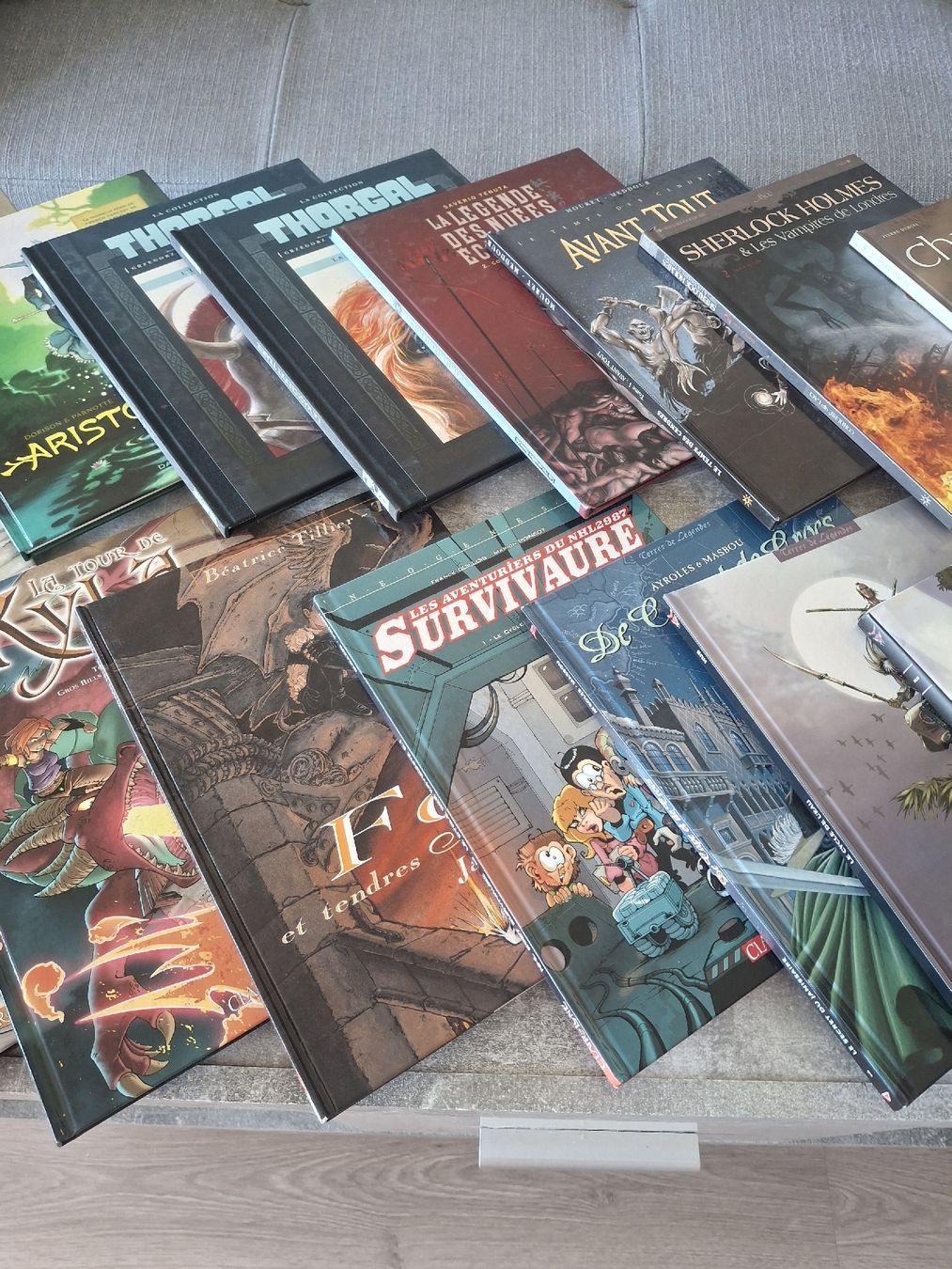 Comics: Lot de BD Fantasy – Gebraucht aus Morges von ProfesseurJones 2