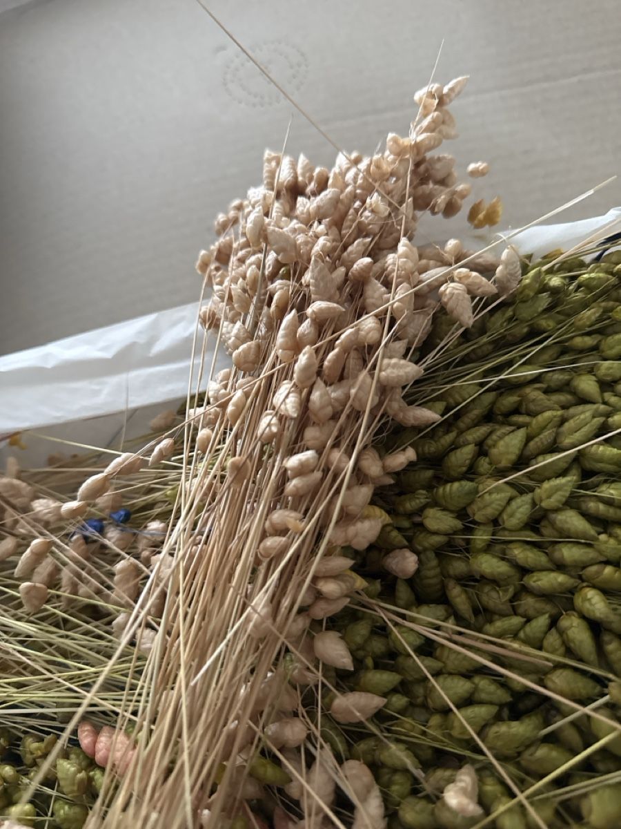 Tutte le decorazioni: Getrocknete Blumen, bunte Dekoration – Nuovo (secondo la descrizione) da Bern venduto da Marym 2