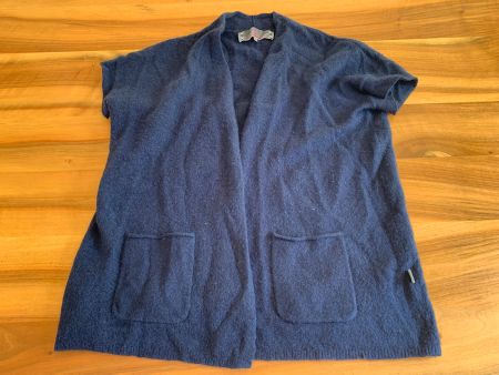 LIEBLINGSSTÜCK blaue Strickjacke / Cardigan  Grösse 40
