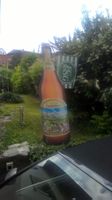 Grosse Quöllfrösch Kunststoff Flasche