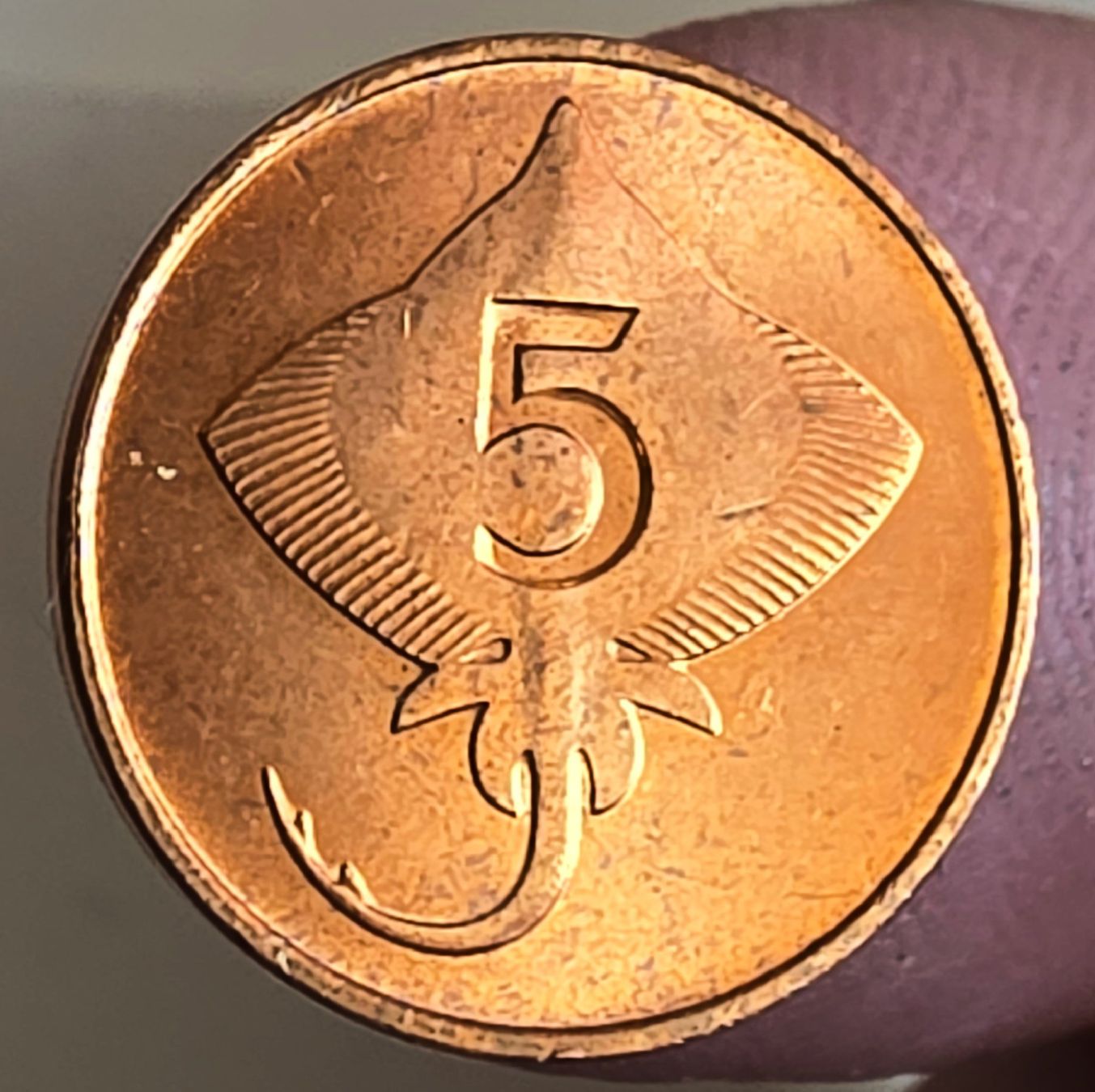 Alle Münzen: ISLAND 5 AURAR 1981 – Gebraucht aus winterthur von CoinPassion