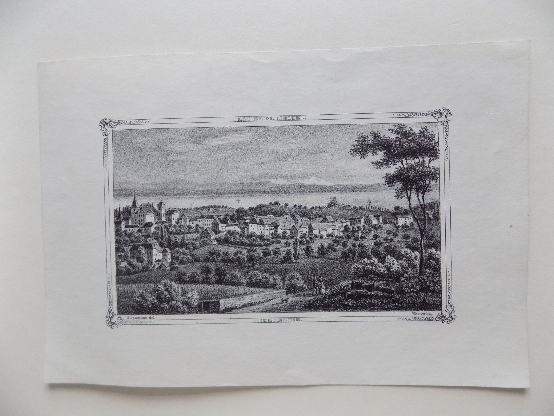 Incisioni: Colombier Lithographie um 1855 – Usato da Risch venduto da Antikfee