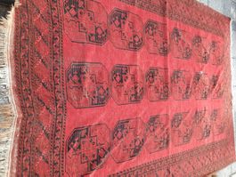 Orientteppich: Turkmenen Teppich, 244x320