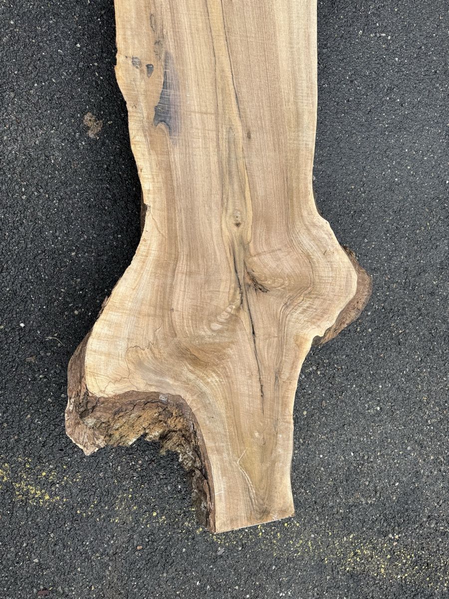 Articoli in legno: Nussbaum Klotzbrett 280  cm lang! – Usato da Gränichen venduto da onkel_xxl 6