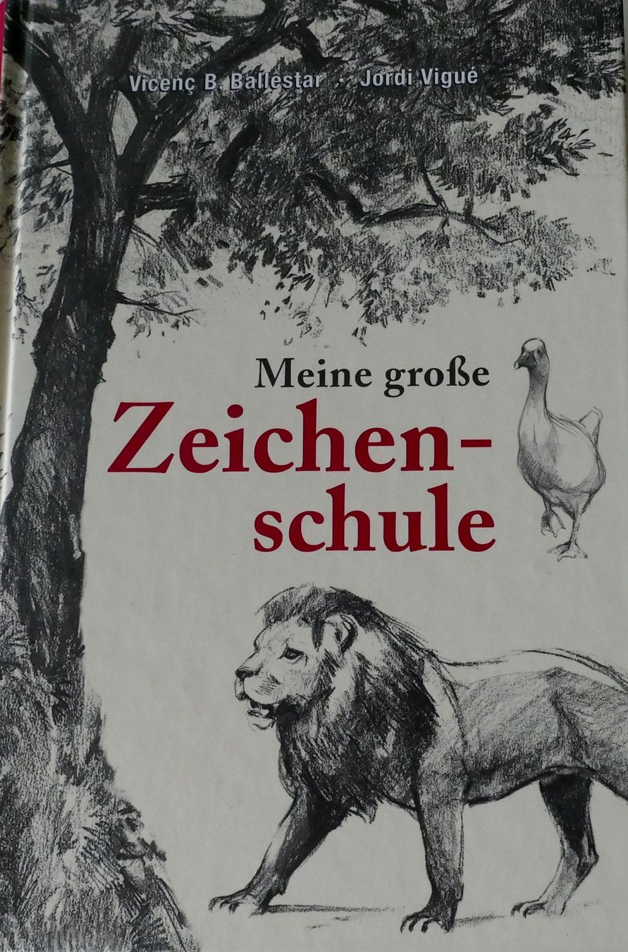 Livres: Buch – D'occasion à Dietlikon par kes_j6d7