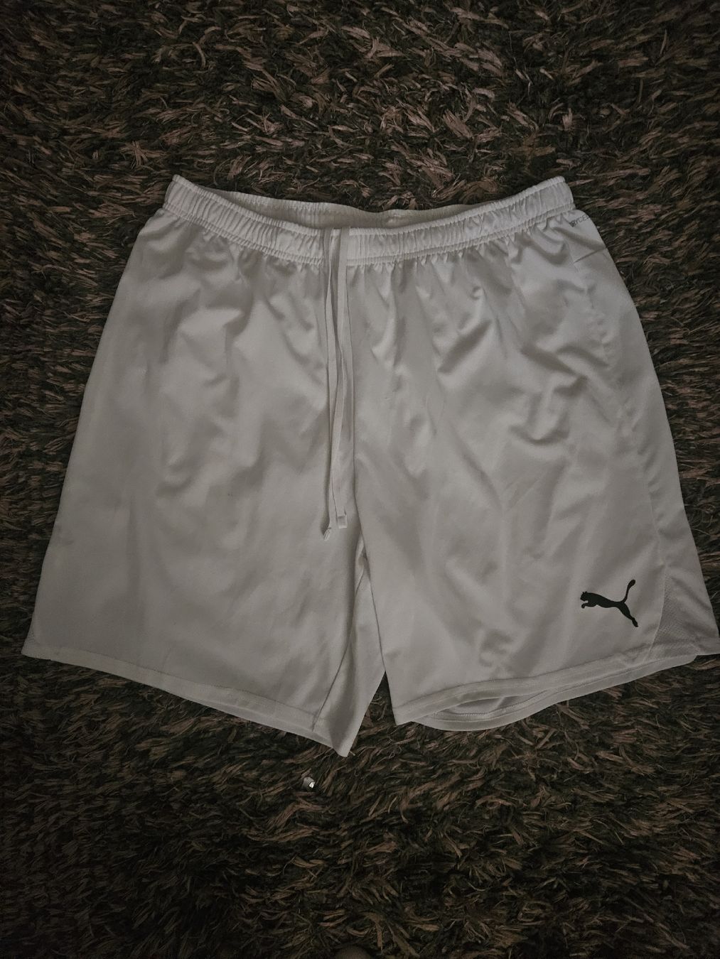 Puma Pantaloni: Puma Shorts Hose Gr.XL – Usato da Emmenbrücke venduto da TopGato