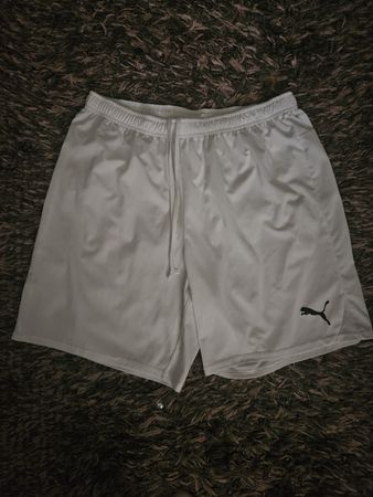 Puma Shorts Hose Gr.XL